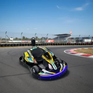New Design Playground Electric Go Kart Chain Drive 60V 2000W Indoor Outdoor Amusement Park Good Price