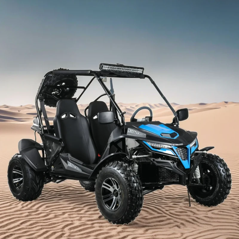 New High Quality 175cc Automatic 4 Stroke Dune Buggy Adults Gas Powered Go Kart UTV for Sale