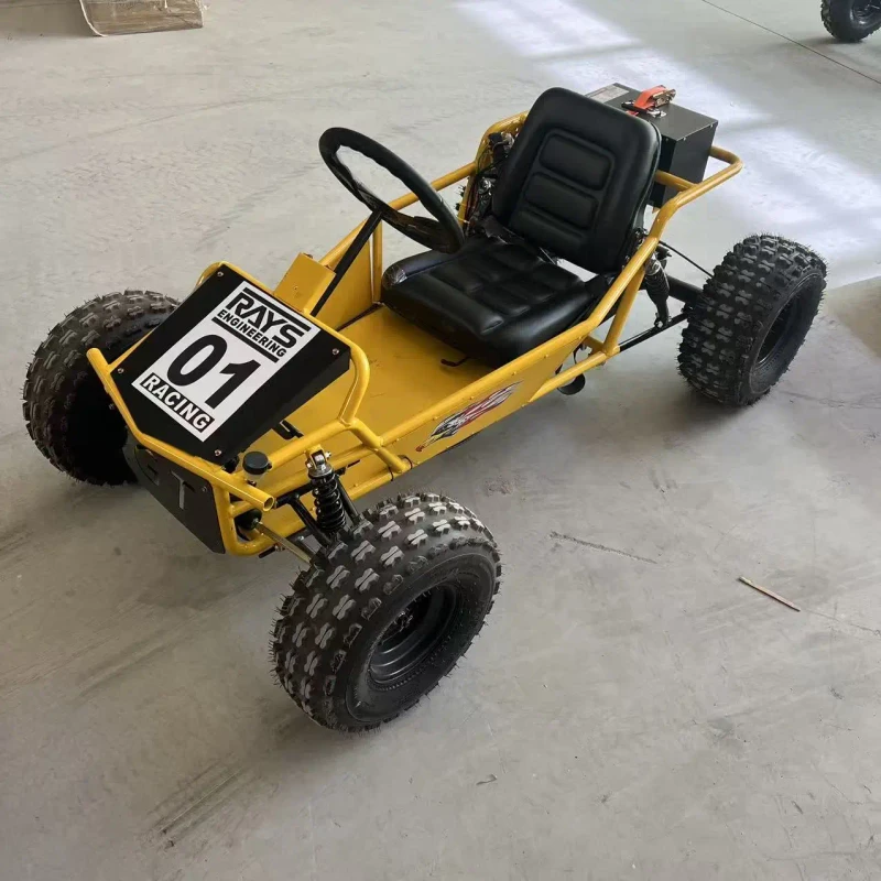 OEM Custom Buggy for Sale Go Karts for Adults for Outdoor Adventures High Quality Affordable All Terrain Adult Racing Kart