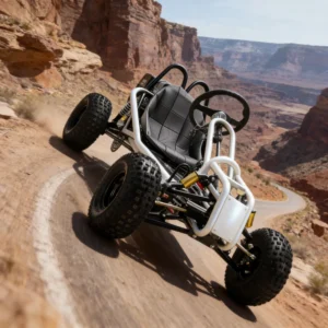 OEM Custom Go Kart Street & Road Legal 4×4 All Terrain Gas 4 Stroke Engine Outdoor Use 60km h
