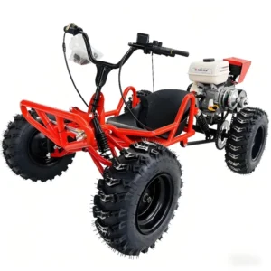 Off road Kart 63cc 90cc 110cc Two stroke Four stroke Gasoline Four wheel All Terrain Beach Snow Go Karts