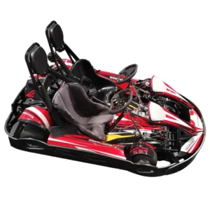 Original Go Kart Pro 2 Seater Electric Racing Go Kart with Hydraulic Brake 3.0KW Power Outdoor Use