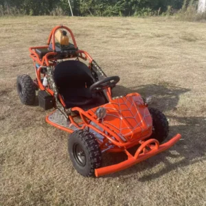 Outdoor Karts 125cc Gasoline Powered Go Kart Off Road High Capacity Go Kart