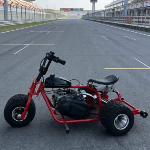 Outdoor Long Range Gas Powered Three Wheel Kart Reinforced Frame 212CC Four Stroke Engine Wide Tires All Terrain Drift Kart
