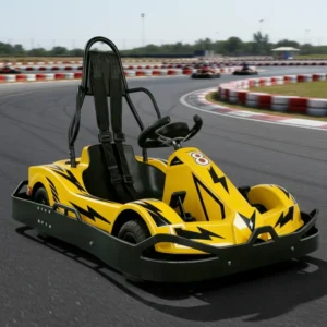 Outdoor Playground Amusement Games Go Karts Luxury Single Seat Dual Motors Dual Electromagnetic Brakes