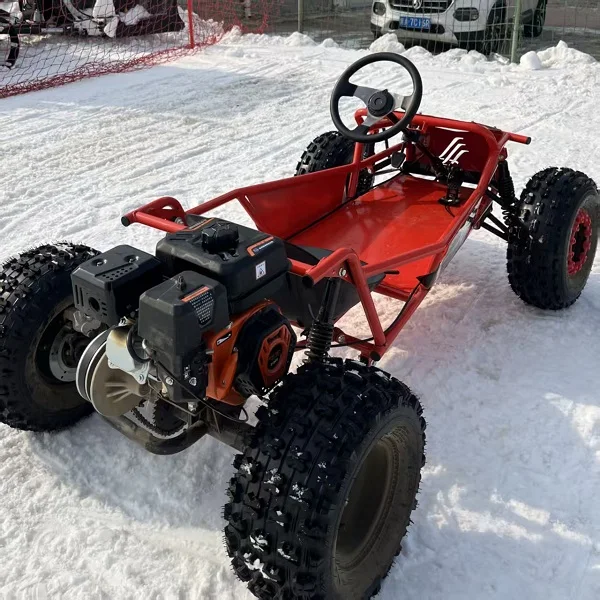 Pedal Go Kart Metal Frame Chain Drive 10Inch Off Road Large Tyres 212cc 4 Stroke Gasoline Hydraulic Disc Brakes 200kg