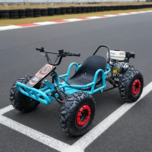 Pedal Go Karts 212cc 4 Stroke 8 Inch Tires All Terrain 8 Wheel UTV Beach Mountain Drift Adult Dune Kart Hydraulic Disc Brakes