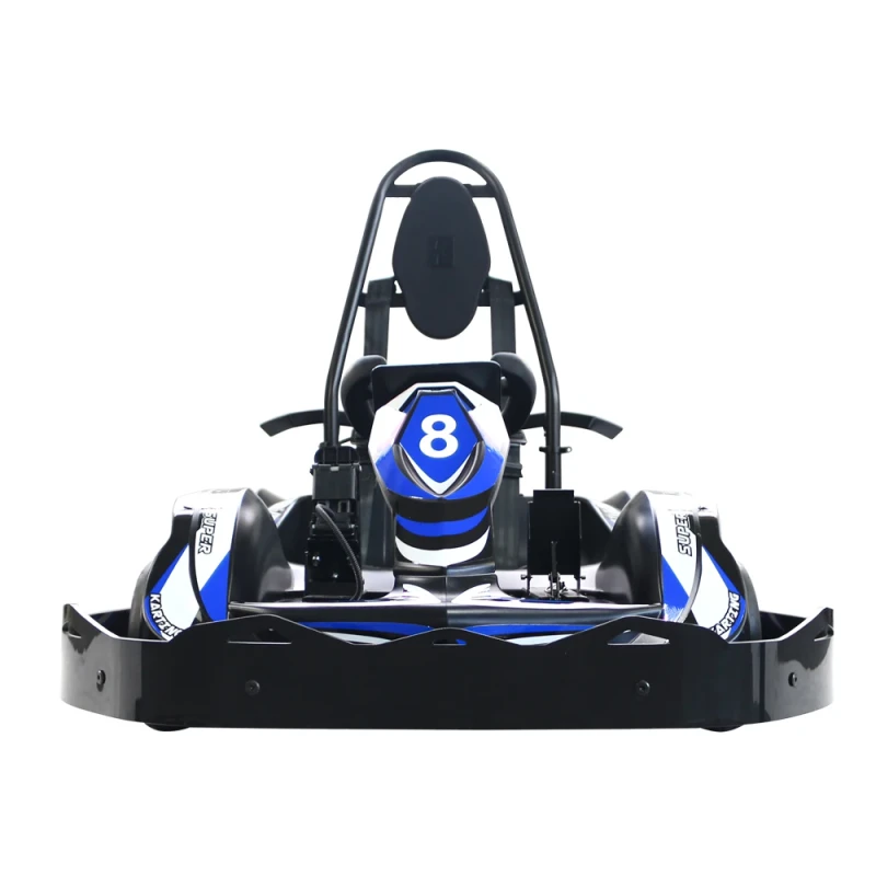 Pengxing High Speed 36V 48V Electric Go Kart for Adults & Teens Safe Dual Disc Brakes Racing & Recreational Karting Vehicle