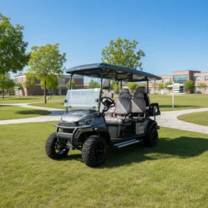Price Club Car Lifted 6 Passenger Electric Golf Cart with Seats CE Certified Lithium Battery 30 50Km h