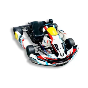 Professional 200CC/270CC 4 Stroke Chain Drive Gas Fast Speed Outdoor Adult Racing Go Kart