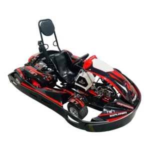 Professional 200cc 270cc Adult Off-Road 4-Wheel Gasoline Go Kart Buggy with Hydraulic Brakes