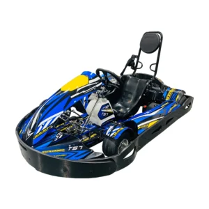 Professional Adult Gas Powered TS7 Go Kart with GX200CC Engine Outdoor Use 200kg Load Capacity 75km/h Max Speed