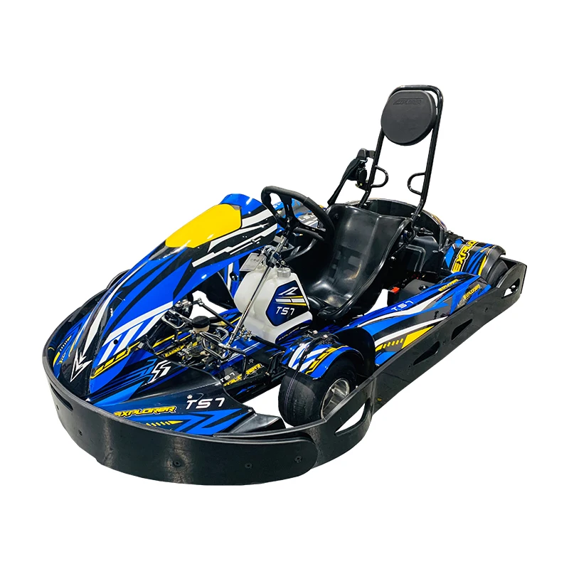 Professional Adult Gas Powered TS7 Go Kart with GX200CC Engine Outdoor Use 200kg Load Capacity 75km/h Max Speed