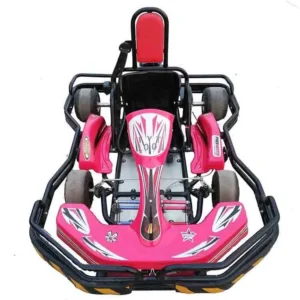 Professional Factory Direct Supply Gas Powered Drift 80cc Go Karts for Kids