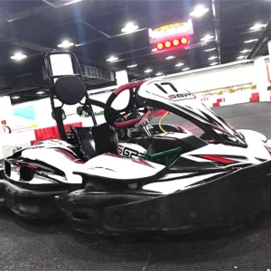 Professional Indoor/Outdoor Adult Sport Electric Go-Kart Racing Kart TS6 EV with Hydraulic Brake and Belt Drive