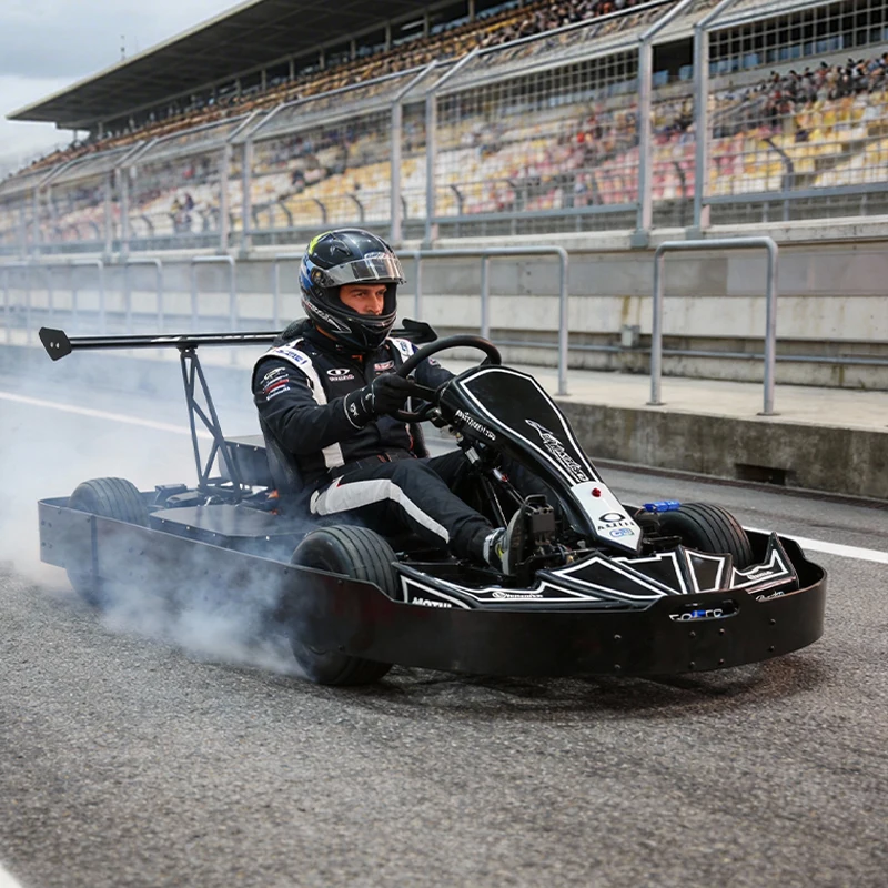 Professional Outdoor Electric Go Kart New Generation Pedal Racing Kart
