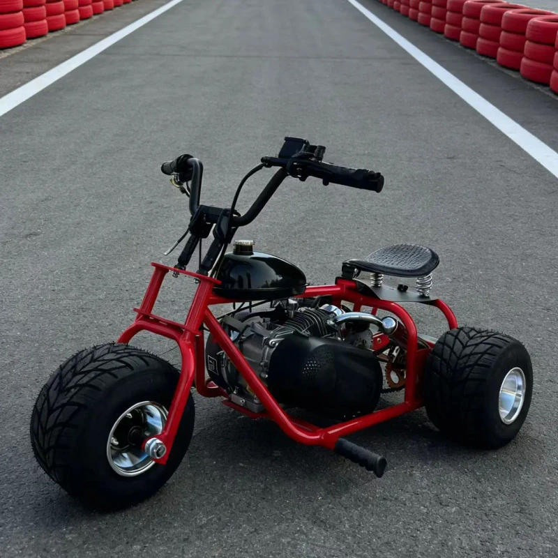 Professional Racing 212CC Three Wheel Drift Off Road Gas Powered Kart Top Speed 60 km/h Durable Motorcycle Kart Hydraulic Disc