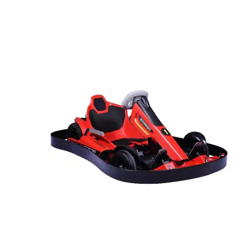 Professional Racing Go Kart for Kids and Adults Electric Go Karting