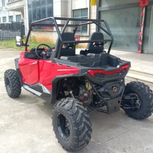 RL-S05A 500cc 4 Stroke Gas Go Kart Dune Buggy for Farm Hunting and Cargo Hauling with Durable Build for Adults