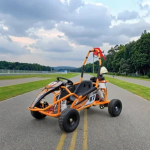 RUNPRO Racing UTVs Motor New Design 4 Stroke 125cc Go Karts for Adults Gasoline & Electric Pedal Go Karts