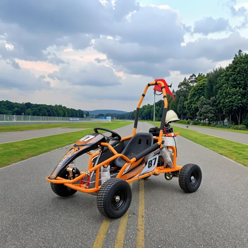 RUNPRO Racing UTVs Motor New Design 4 Stroke 125cc Go Karts for Adults Gasoline & Electric Pedal Go Karts