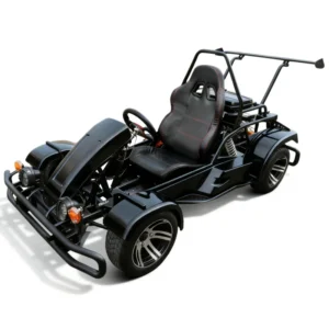 Racing Go Kart 170cc with CVT Transmission High Speed Drift Karting Outdoor Go Kart