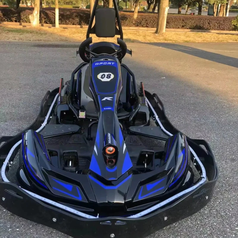 Racing High Speed Go Karts Electric Go Kart Karting Cars for Sale Racing Buggy Go Kart