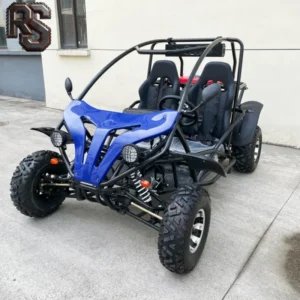 Raxen 2 seat adult go kart 200cc oil cooled gas engine for off road racing