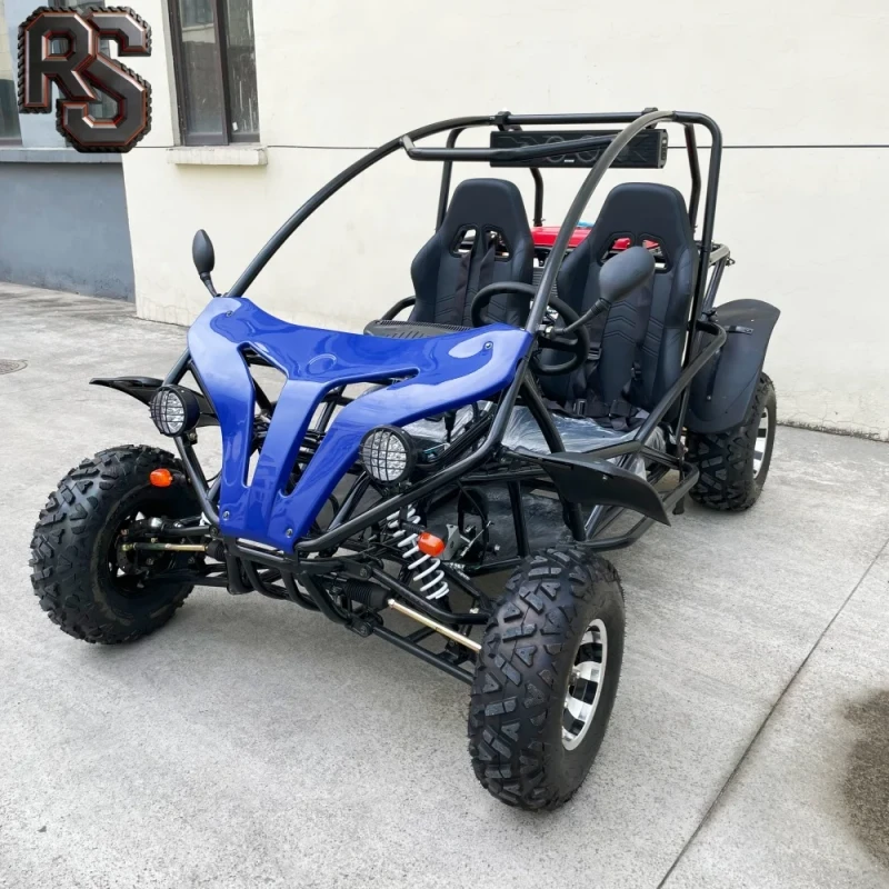 Raxen 2 seat adult go kart 200cc oil cooled gas engine for off road racing