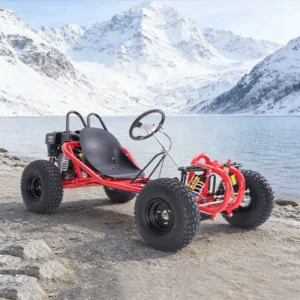 Recreational Racing Vehicle Bulk Sale 270CC Petrol Go Kart Factory Direct Adult Off Road Go Kart