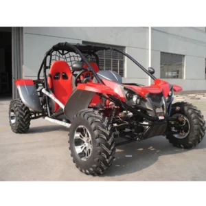 Renli EEC5 500cc 4×4 Racing Dune Buggy 2 Seat Go Karts for Sale