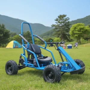 Single Seat Electric Go Kart with Chain Drive Motor for Entertainment 48v 2000W Race Drift Buggy Lithium Battery Rear Disc Brake