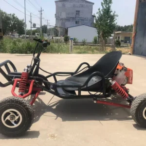 Small Gas Powered Off road Go Karts for Adults with 40 60km h Max Speed and 10kW Power Track Karting Car