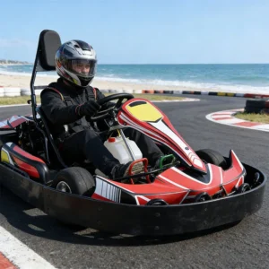 Speed Control Commercial Gasoline Go Kart for Outdoor Track 270cc Petrol Gokart Adultos Professional Rental Go Kart