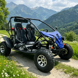 Sporty Design Go Kart Buggy 200cc With CE Certificated for Hunting Trips