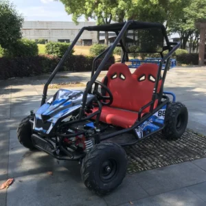 Steel Frame Professional Racing Kart Go Kart for Desert Use Professional Off-Road Vehicle HL-4471