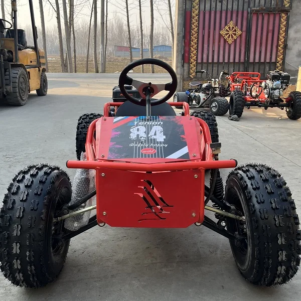 Steering Wheel Gas Powered Go Kart 212cc 4 Stroke 10 Inch Tires All Terrain Off Road Outdoor Mountain Children and Adults Kart