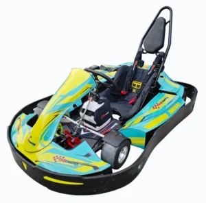 TELEEMOTO Pedal Go Kart Pro for Kids Adults High Speed 200CC Engine Belt Chain Drive 75KM Max Speed Sale