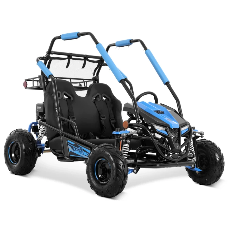 Tao Motor New Racing Automatic Chain Drive Electric Start Steel Frame 200cc Go Karts for Adults