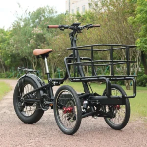 Three Wheel Cargo Tricycle Electric Bike 250W Cargo With Ebike Mid Drive Kids Cargo E Bike Stealth Bomber