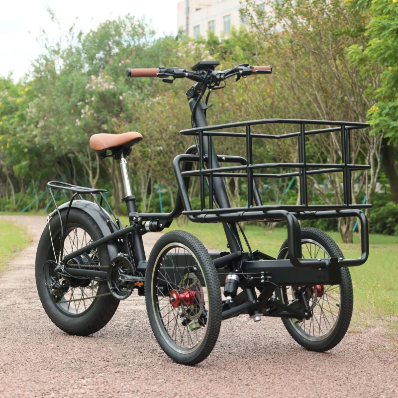 Three Wheel Cargo Tricycle Electric Bike 250W Cargo With Ebike Mid Drive Kids Cargo E Bike Stealth Bomber